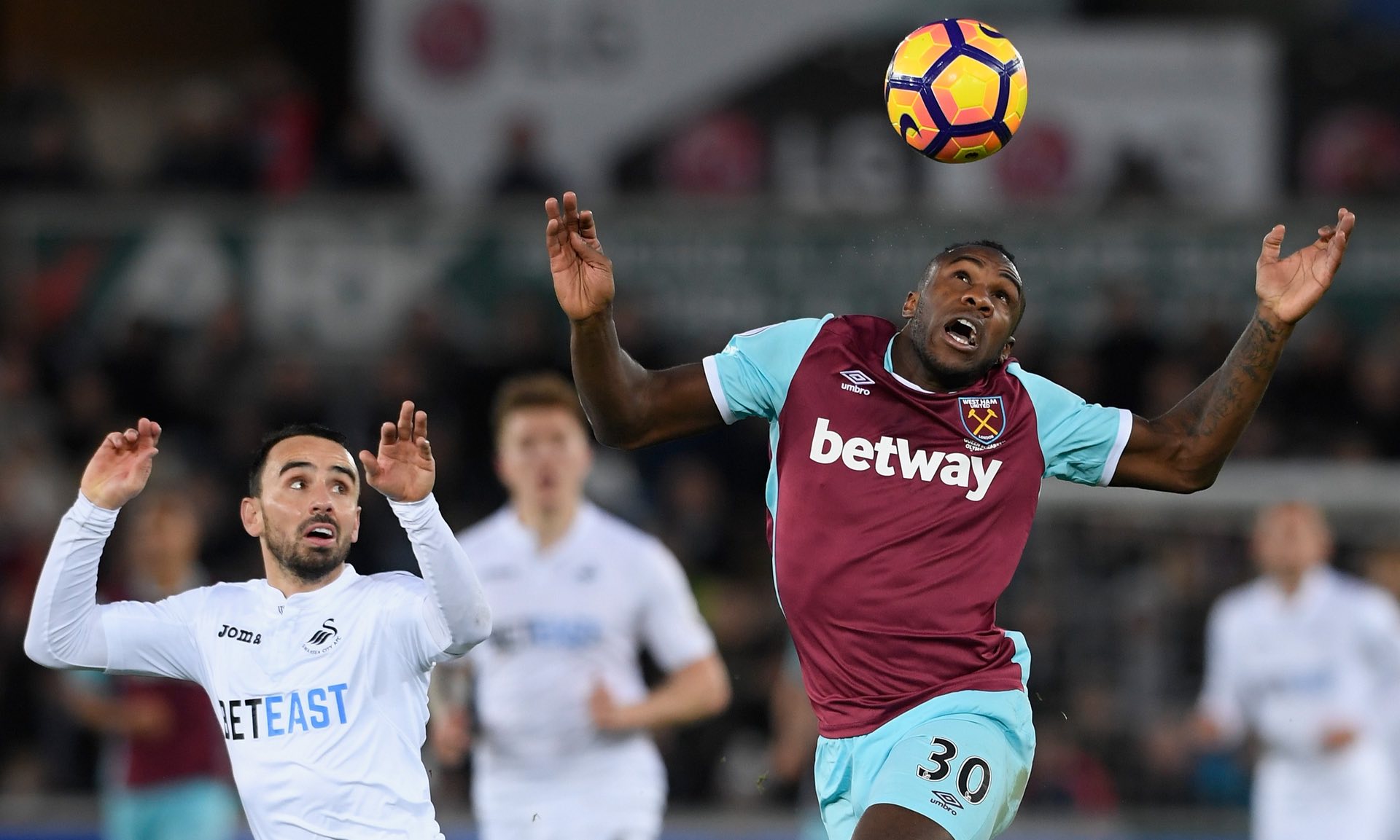 为之倾倒 为之倾倒